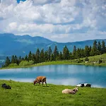 Wellness Montis Hotel Mozirje