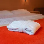 Hotel Wellness Montis