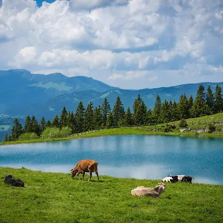 Wellness Montis Hotel Mozirje