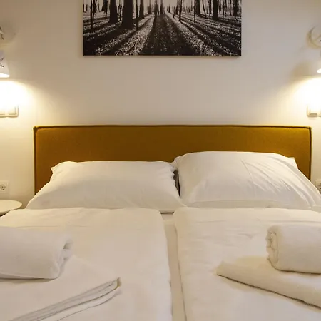 Wellness Hotel Montis Mozirje