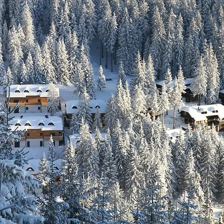 ホテル Wellness Montis 4*