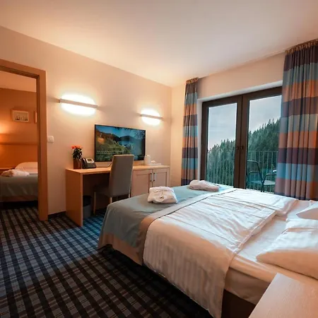 Wellness Montis Mozirje