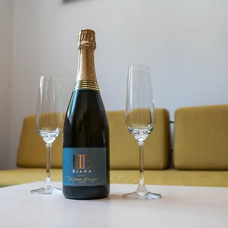 ホテル Wellness Montis