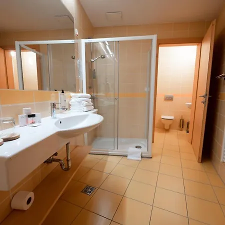 Wellness Hotel Montis 4*
