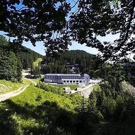 Wellness Montis Hotel