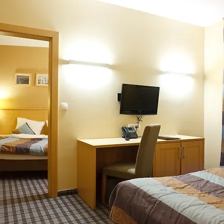 ホテル Wellness Montis 4*