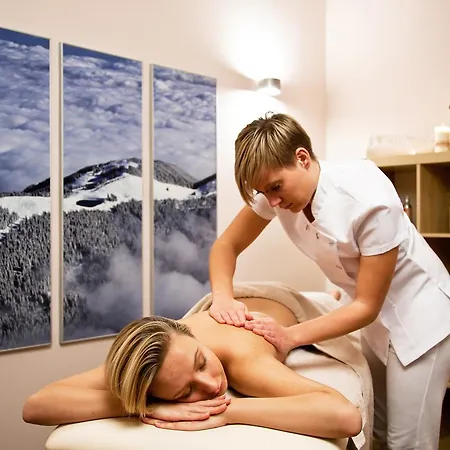 Wellness Montis Mozirje