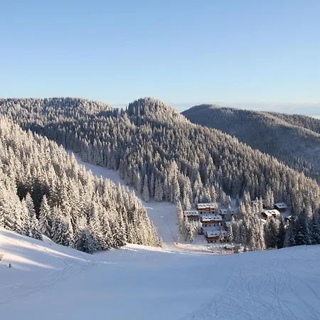 Hotel Wellness Hotel Montis 4*