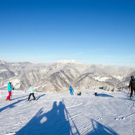 Wellness Montis ホテル 4*