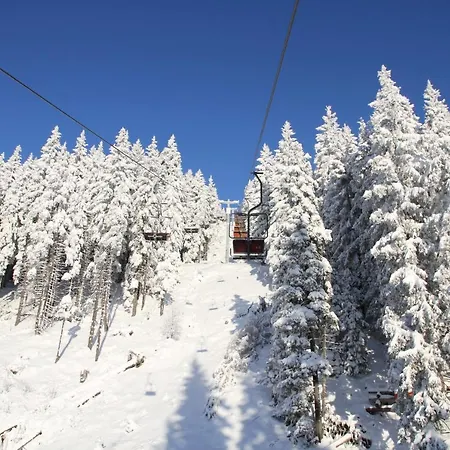 Wellness Montis モジリェ