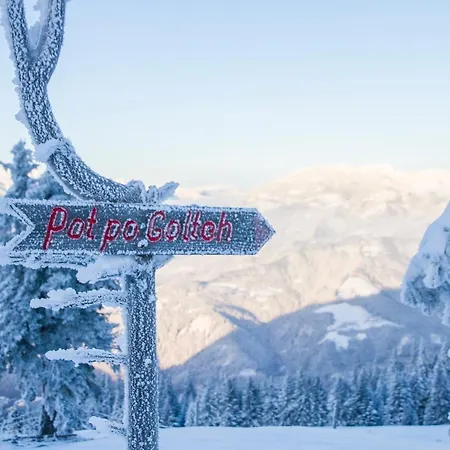 Szálloda Wellness Montis Mozirje