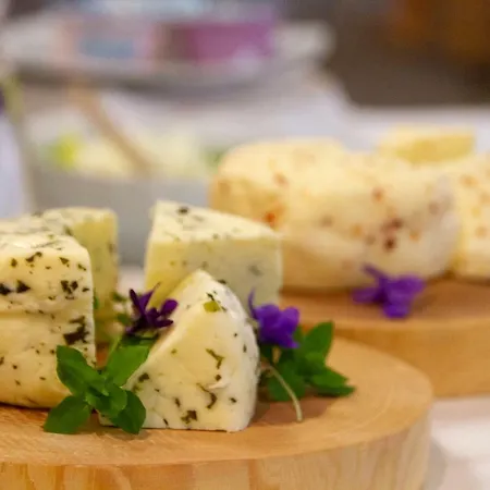 Szálloda Wellness Montis Mozirje