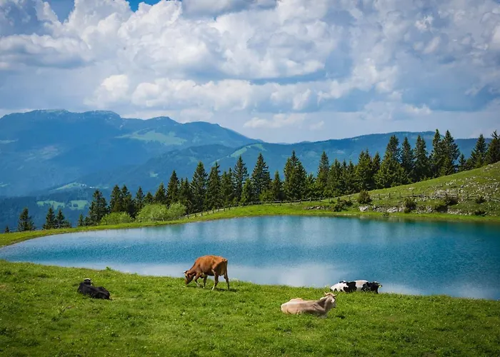 Wellness Hotel Montis Hotel Mozirje