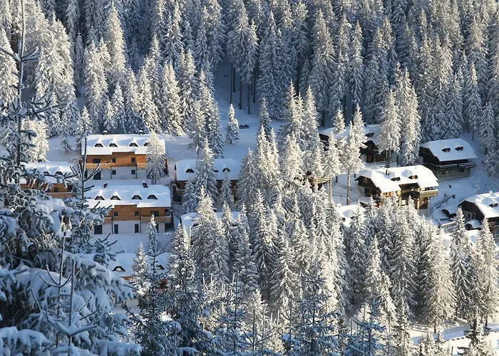 Hotel Wellness Montis 4*