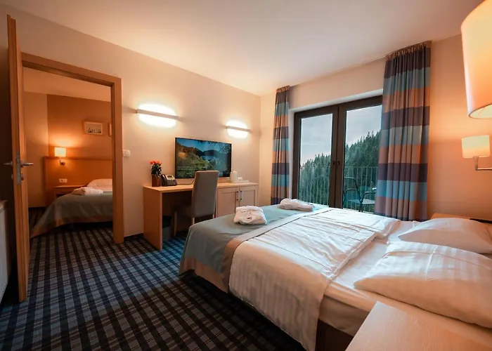 Wellness Montis Mozirje