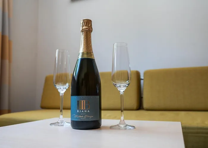 Hotel Wellness Montis