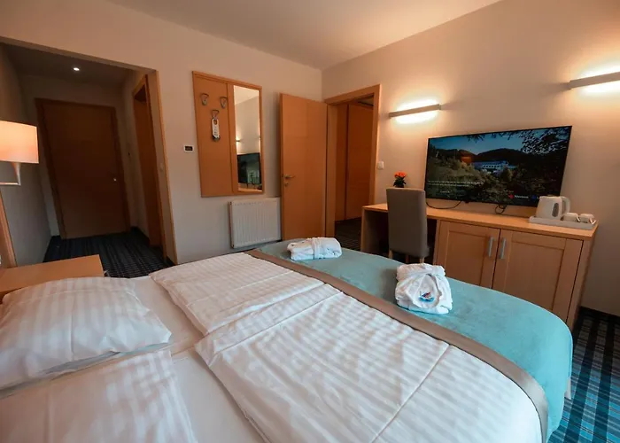 Hotel Wellness Montis Mozirje