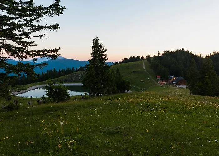 Wellness Montis Mozirje