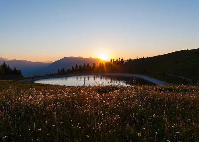 Hotel Wellness Montis 4*