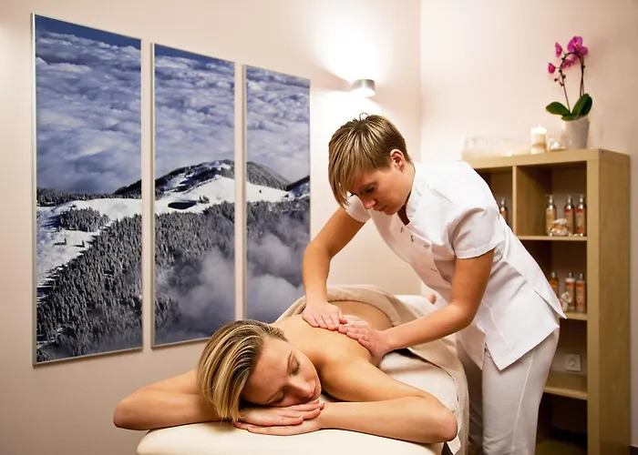 Wellness Hotel Montis Mozirje