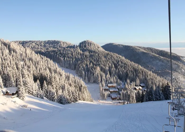 Hotel Wellness Montis 4*