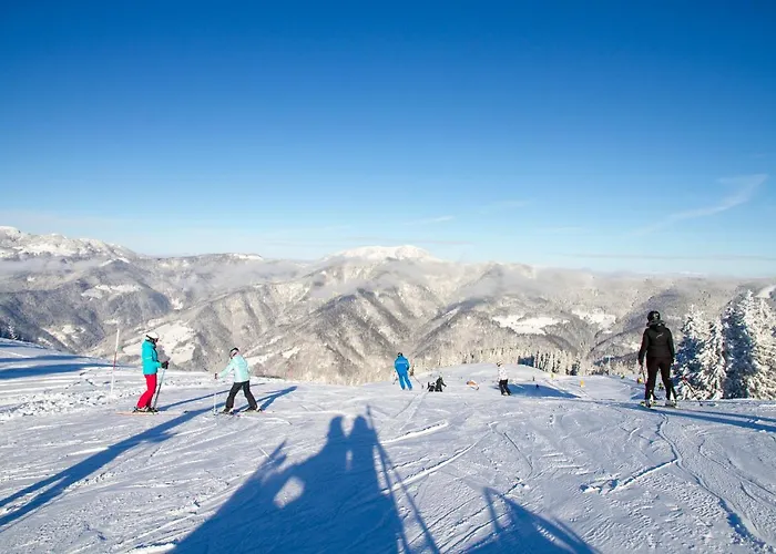 Wellness Montis Hotel 4*