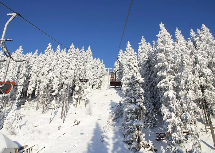 Wellness Montis Mozirje