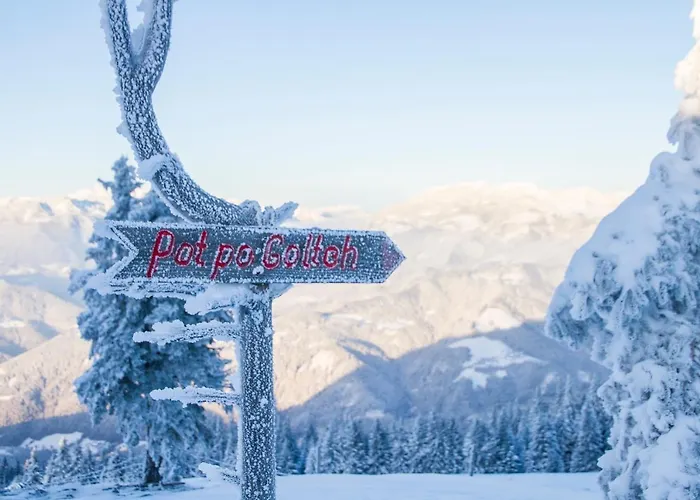 Hotel Wellness Montis Mozirje