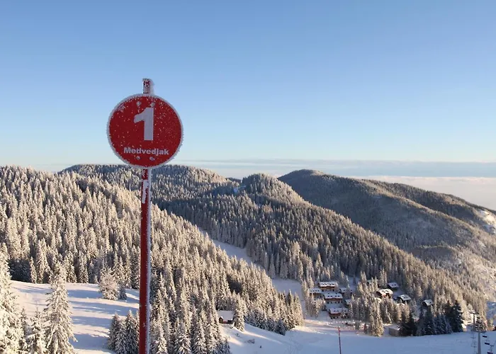 Wellness Montis Hotel