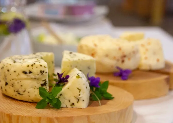 Hotel Wellness Montis Mozirje